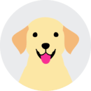 Illustration of a yellow lab