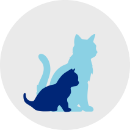 Illustration of kitten and adult cat silhouettes 