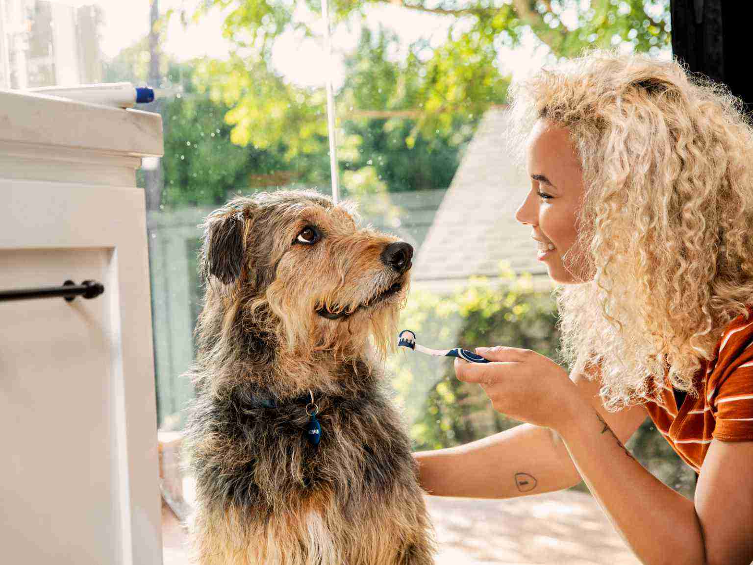 A young girl trying to clean her dog's teeth with a toothbrush