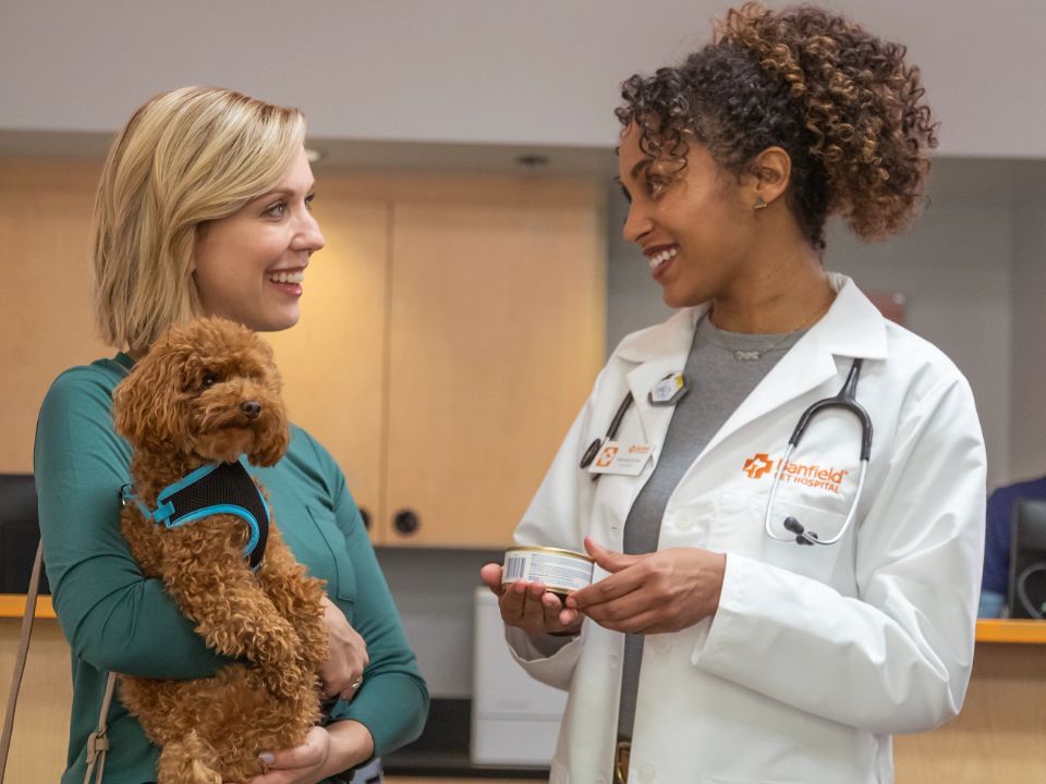 smiling woman holds brown dog talks to smiling vet