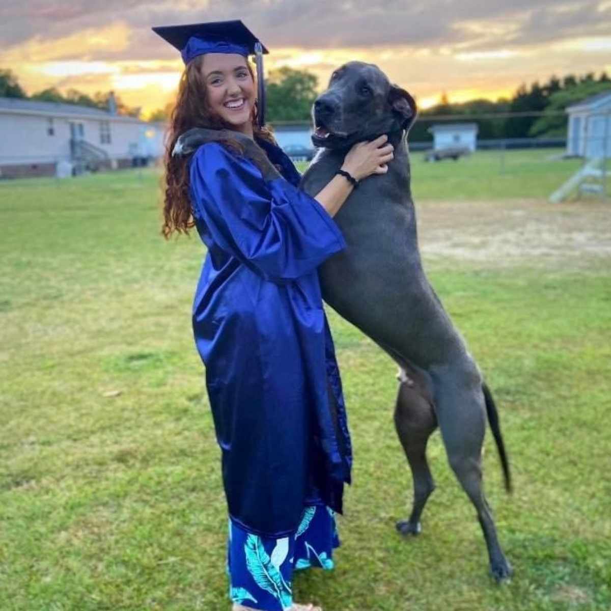 Profile picture of Ashley Hall, RVT, Registered Veterinary Technician