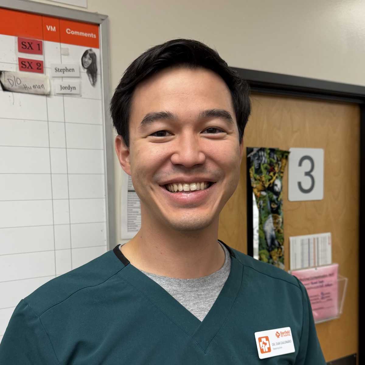 Profile picture of Dan Gallinaro, DVM, Veterinarian