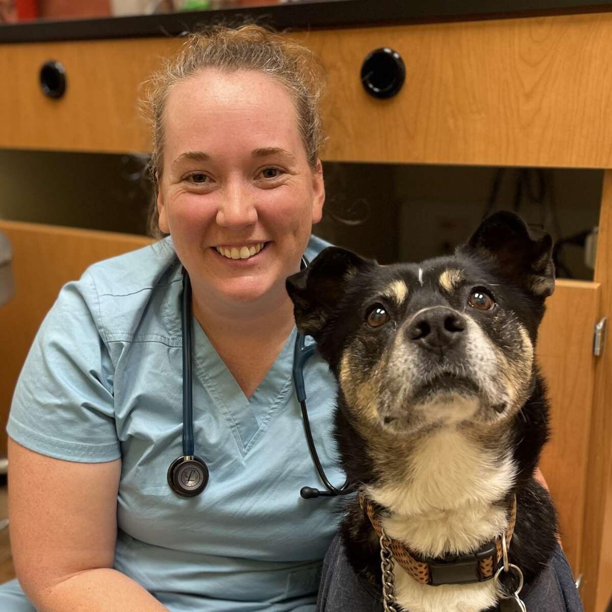 Profile picture of Danielle Dombrowe, DVM, Veterinarian