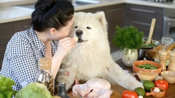 A CVT greeting a dog and their owner
