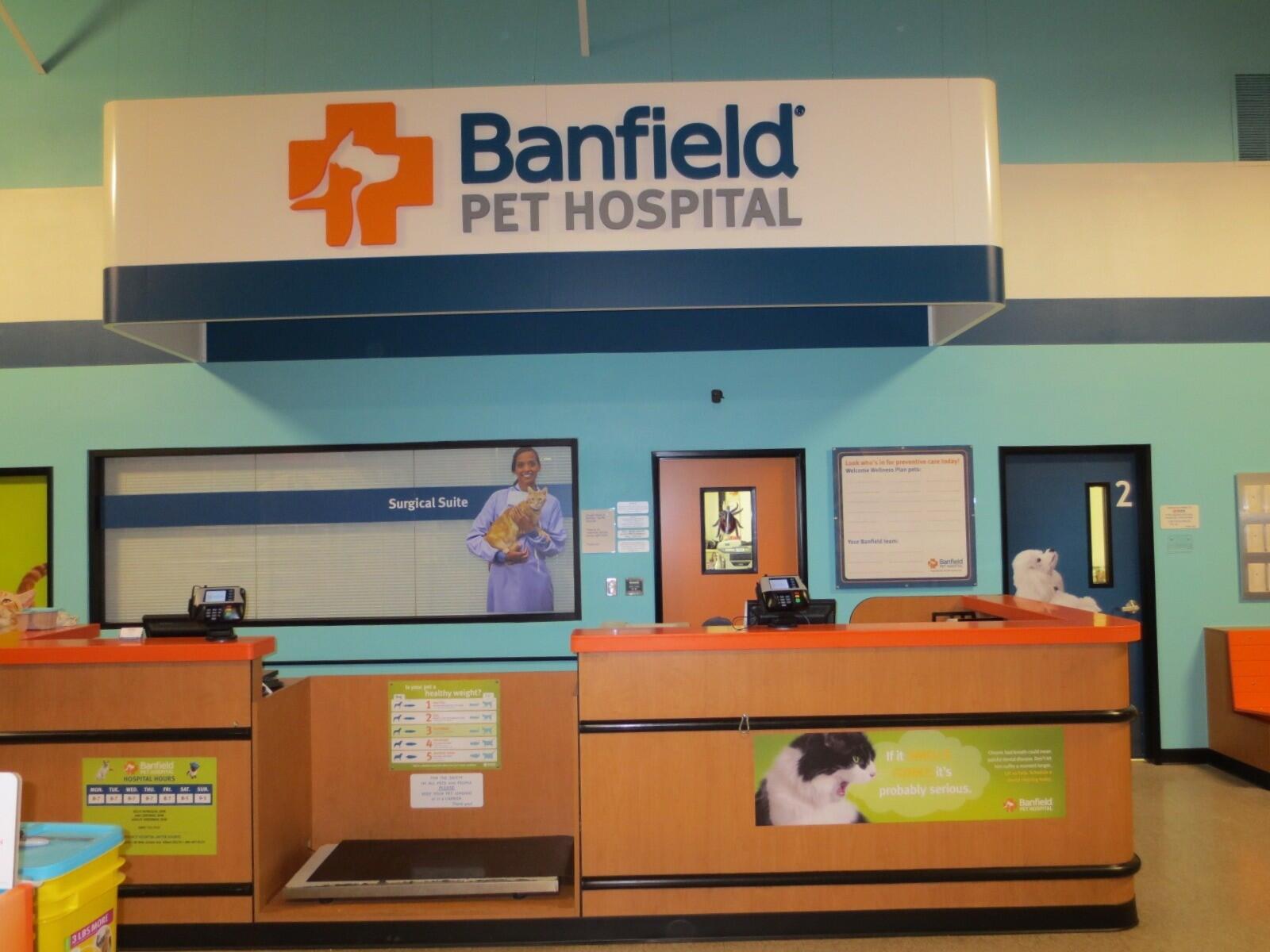 Banfield Pet Hospital: Chandler E front desk
