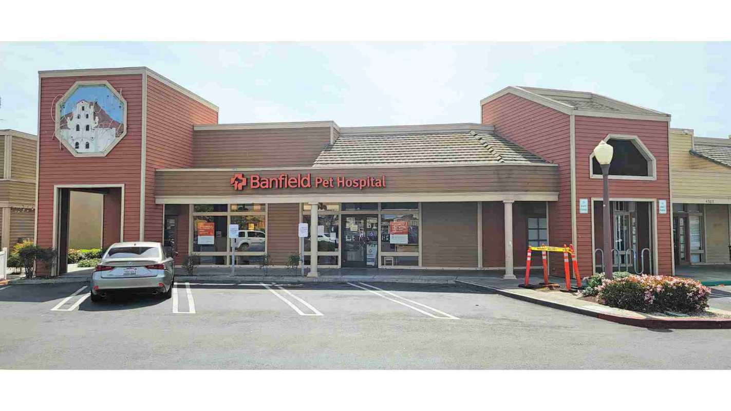 An exterior look of our hospital