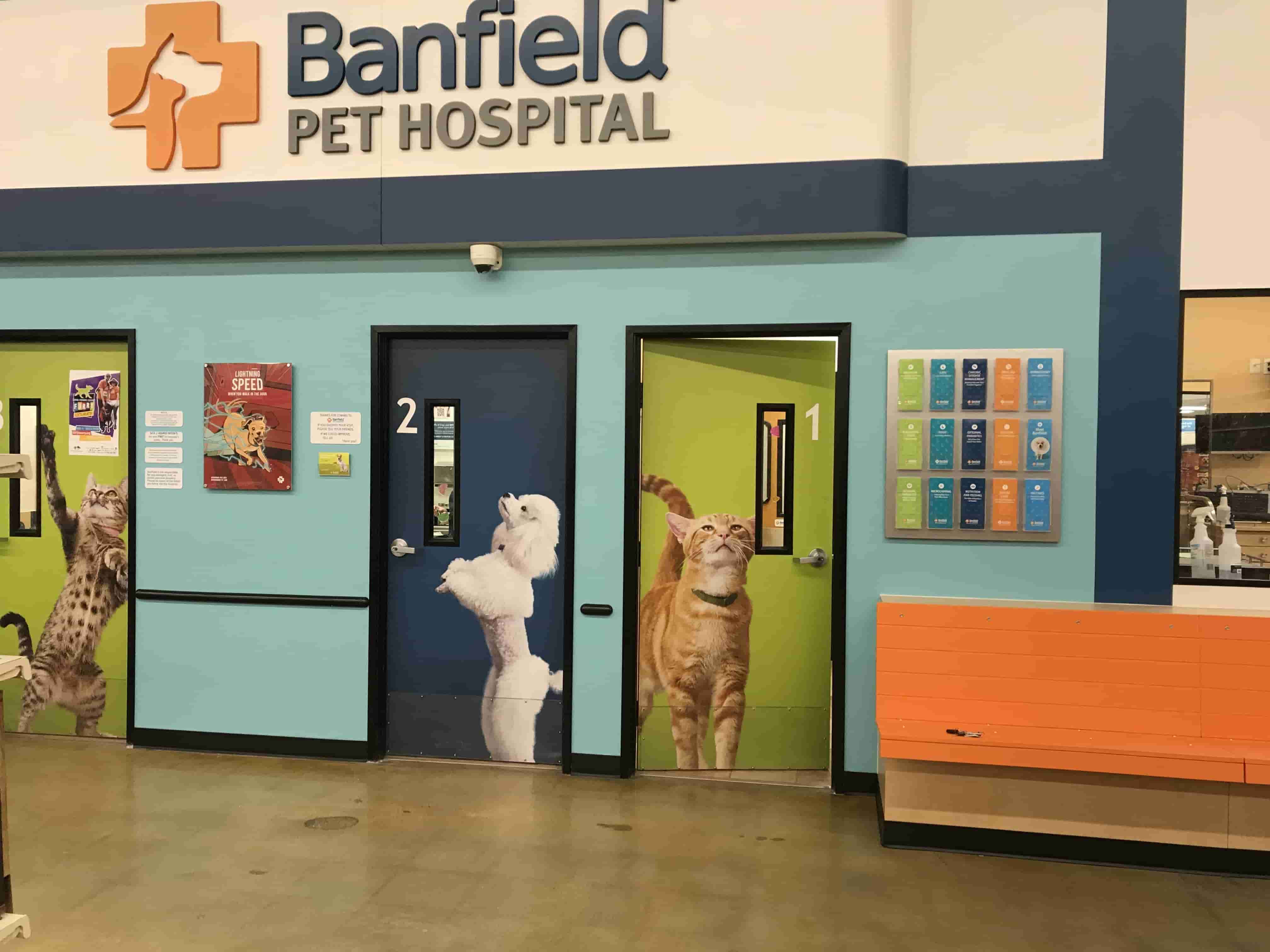 The doors of the Littleton exam rooms