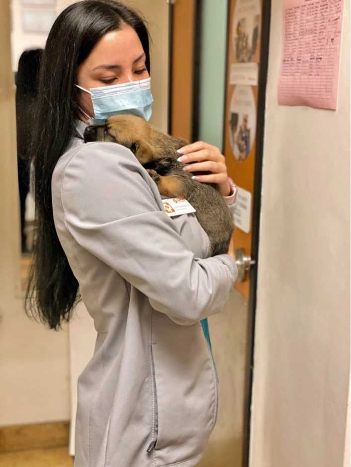 A female Banfield Associate hugging a puppy