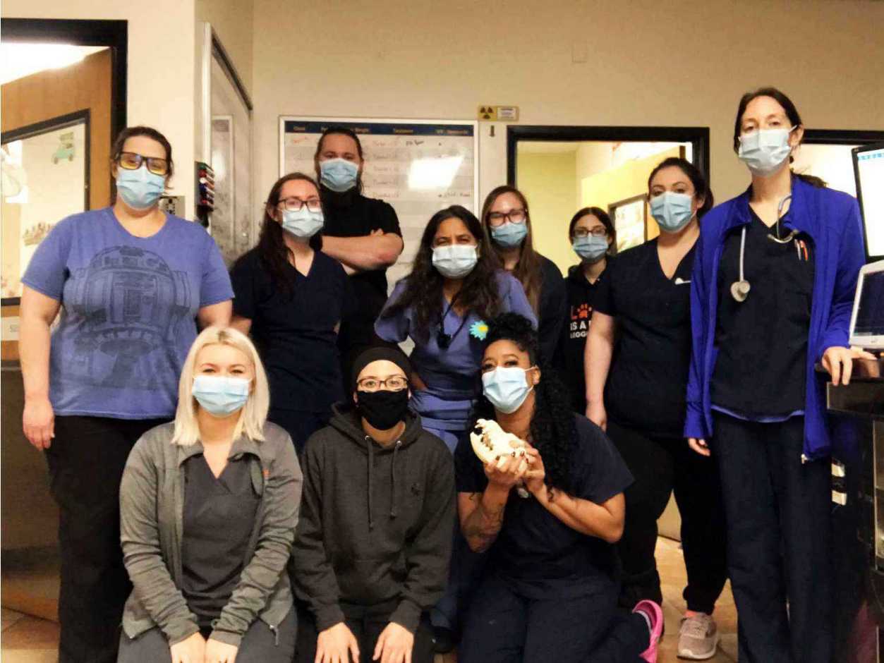 A group of Banfield Associates at the Banfield Pet Hospital