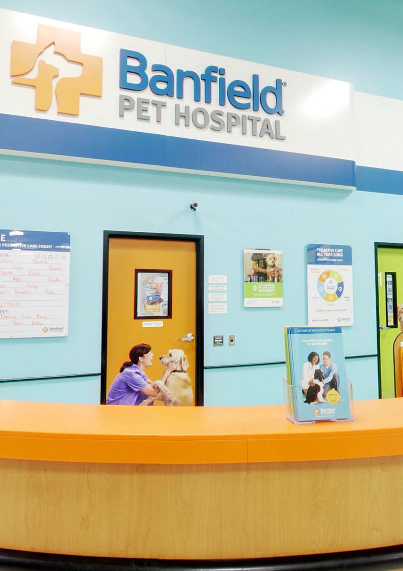The front desk at the Banfield Pet Hospital