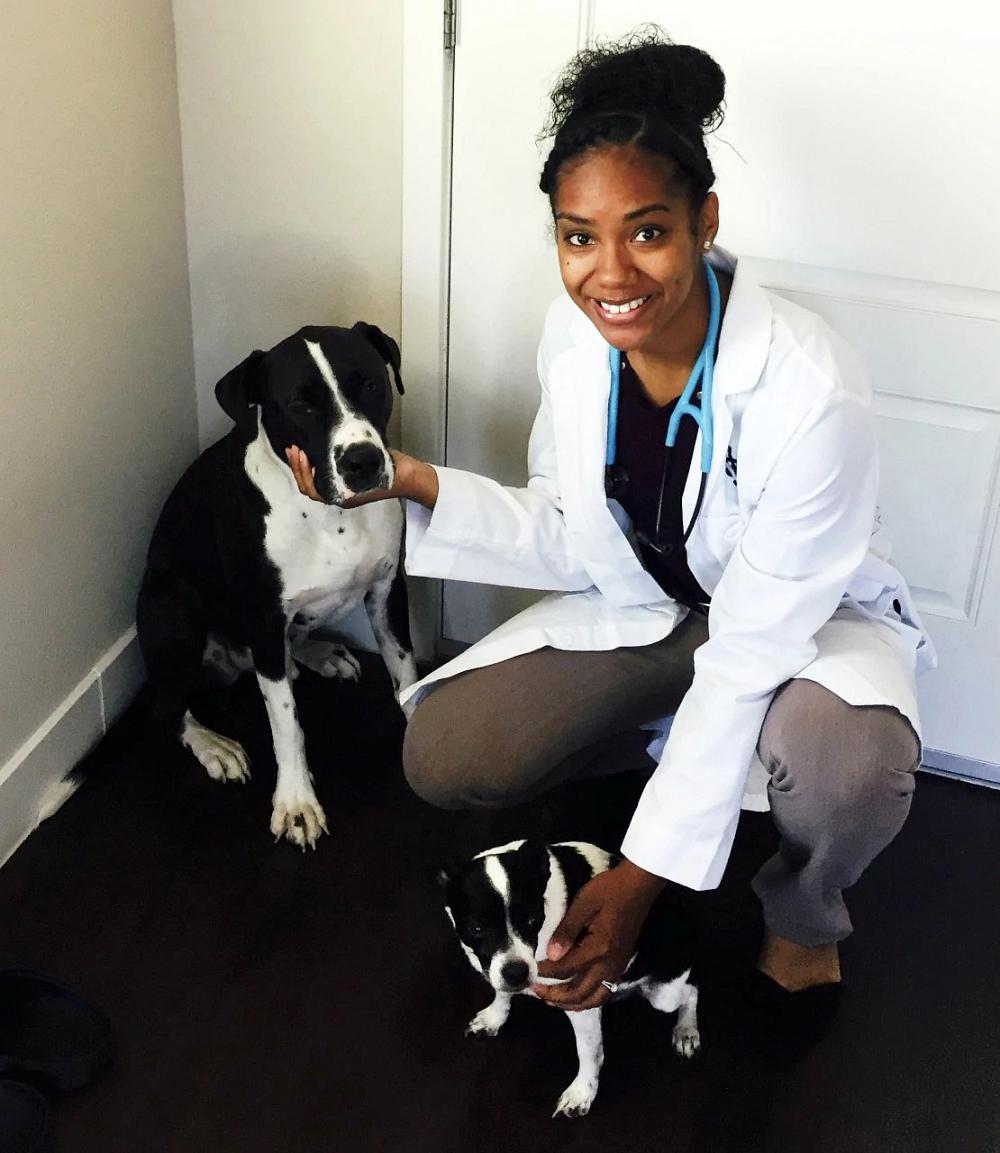 A young female veterinarian petting a dog and a puppy at the Banfield Pet Hospital