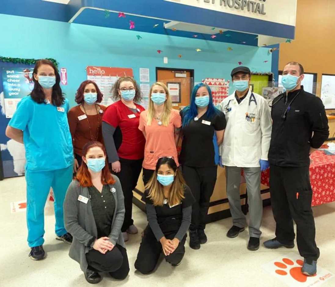 A group of associates at the Banfield Pet Hospital
