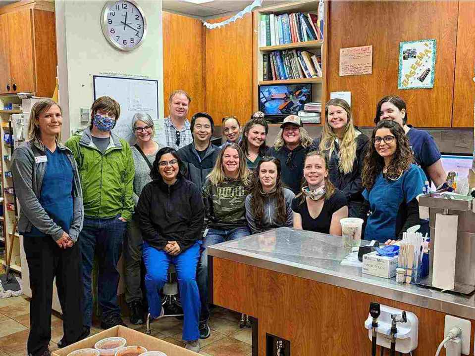A group of associates at the Banfield Pet Hospital